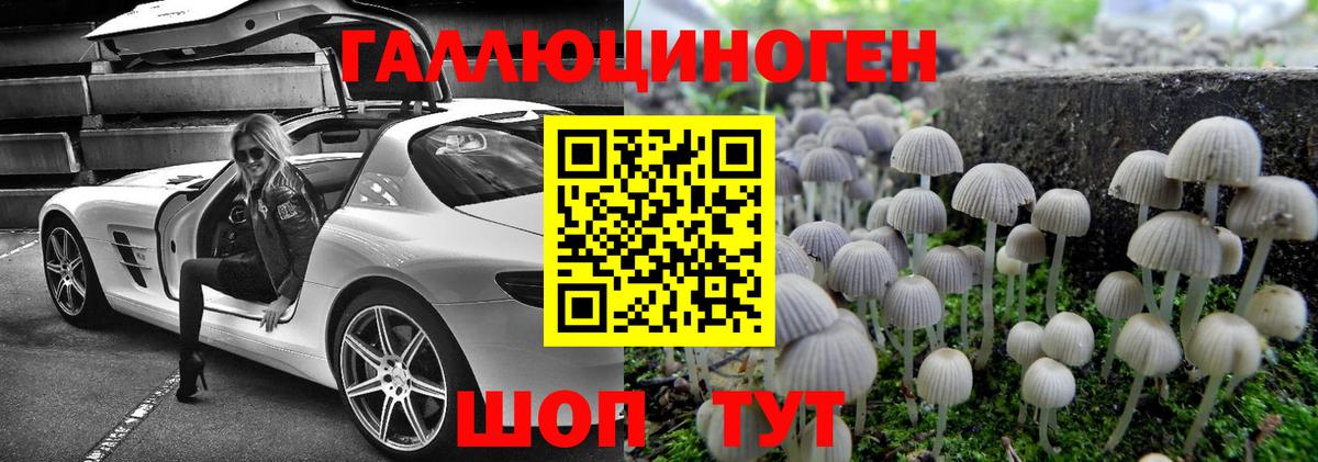 Галлюциногенные грибы мухоморы  Вход с VPN  Прокопьевск 