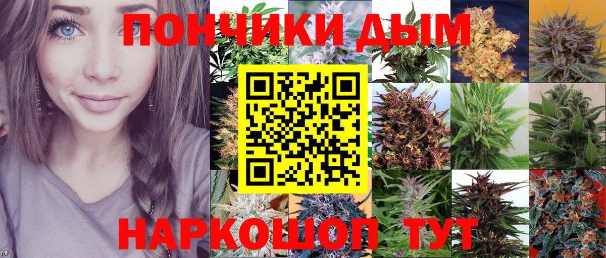 Марихуана White Widow  Вход с VPN  Прокопьевск  Бошки марихуана планчик 